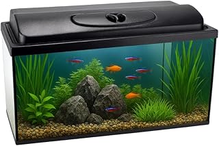 Aquarium Komplettset 60x30x30 54 L Starterset Becken mit Abdeckung inkl. LED Beleuchtung Aquarium Set Komplett