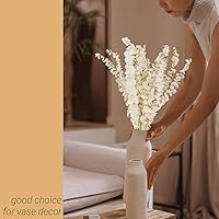 Vista 8 de 16 tallos de eucalipto conservados blanqueados, ramas de eucalipto conservadas de 16 pulgadas de color blanco crema natural, tallos de eucalipto