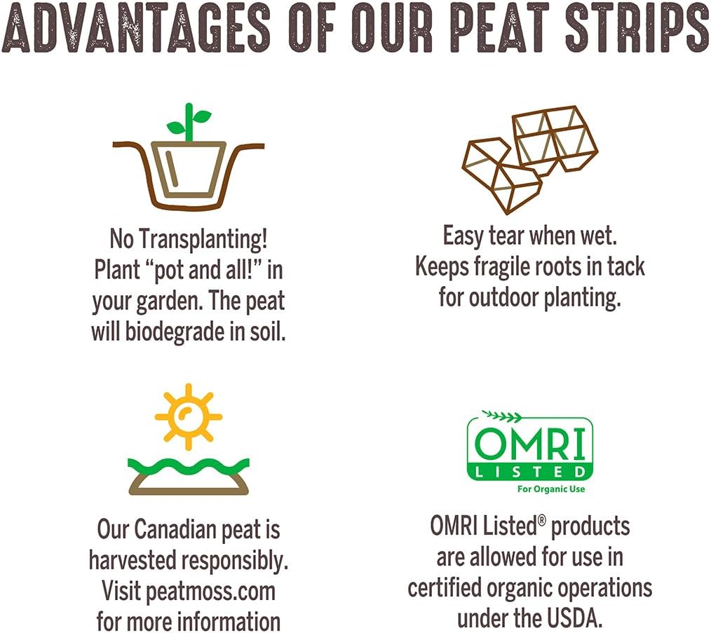 Jiffy Seed Starting Strips - Biodegradable, Plant Starter Pots, 10 Cell, 50 Strips - Peat