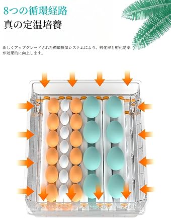 Automatic Incubator, Automatic Hatching Machine, Automatic Rolling Egg Hatcher, Small Automatic Hatching Egg, Large Capacity, Hatcher, Chick Born, Automatic Temperature Control, Automatic Water
