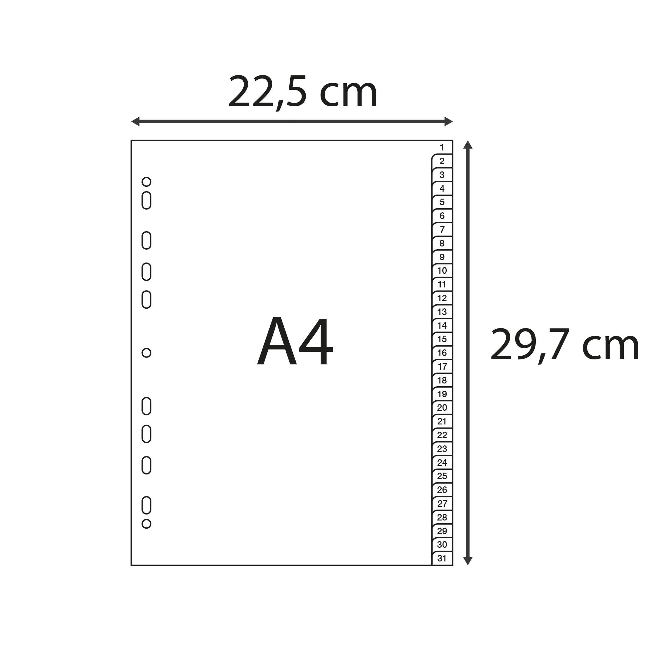 Exacompta - Rif. 1931E - Cartone da 20 divisori in polipropilene riciclato, con 31 linguette stampate digitali da 1 a 31, formato A4, dimensioni 22,5 x 29,7 cm, certificato angelo blu