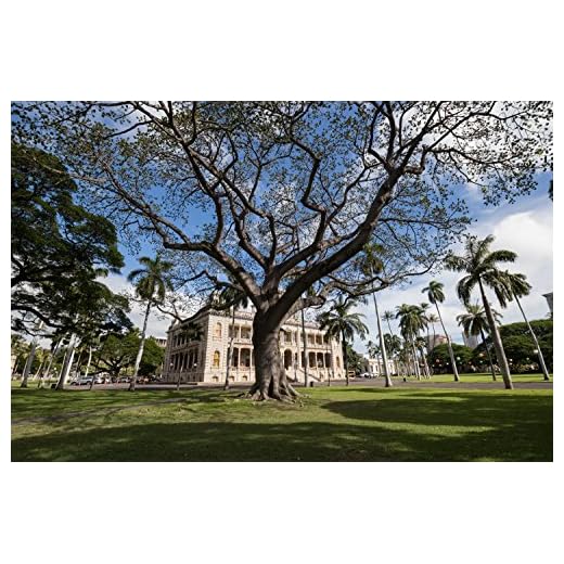 Tamron 10-24mm Wide Angle Zoom Lens