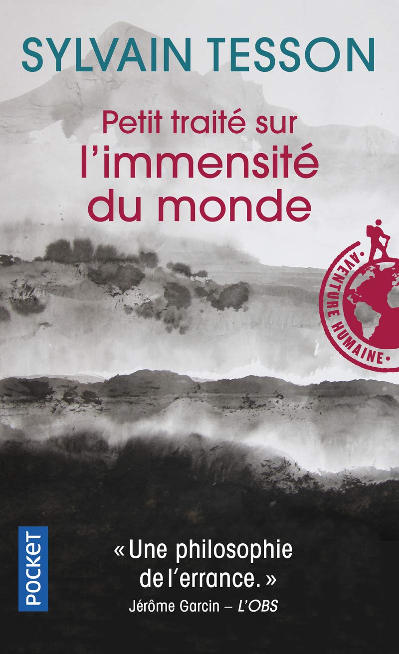 Amazon.fr - Petit traité sur l'immensité du monde - Tesson, Sylvain - Livres