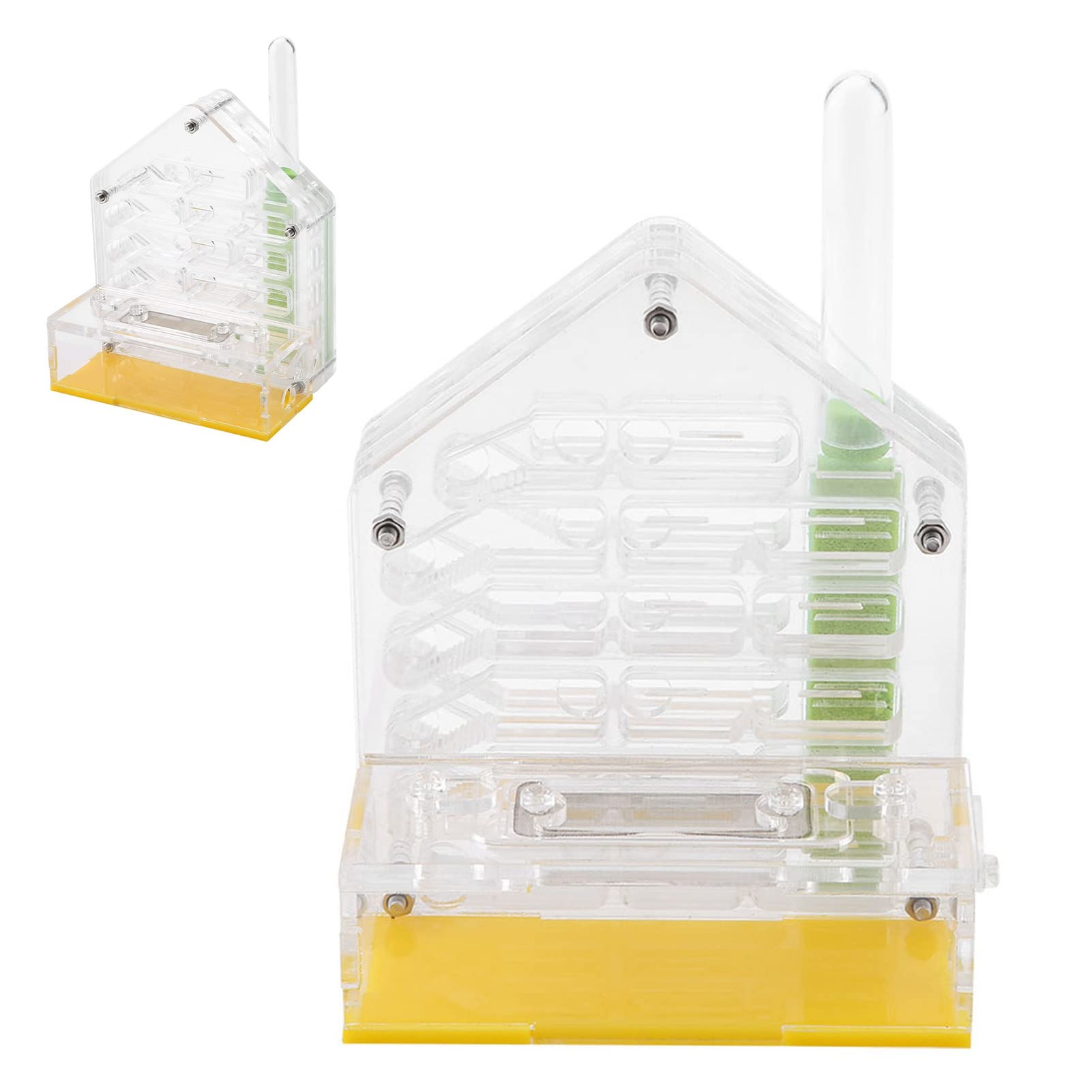 Formicarium Nourriture pour Fourmis 12×11×8 Acrylic Farm The Farm is Alive