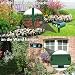Katzenschreck Ultraschall, Katzenabwehr Solar Ultraschall Tiervertreiber, Katzenschreck für Garten, Abwehr Wasserdicht mit Bewegungsmelder, Katzenabwehr Garten, Abwehrmittel für Haustiere, Grün