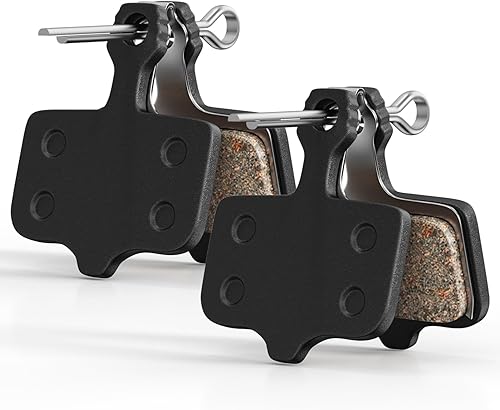 Lectric Xpedition