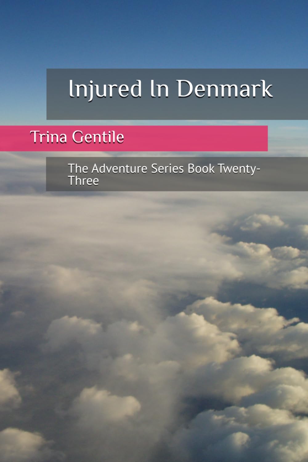 Injured In Denmark: The Adventure Series Book Twenty-Three
