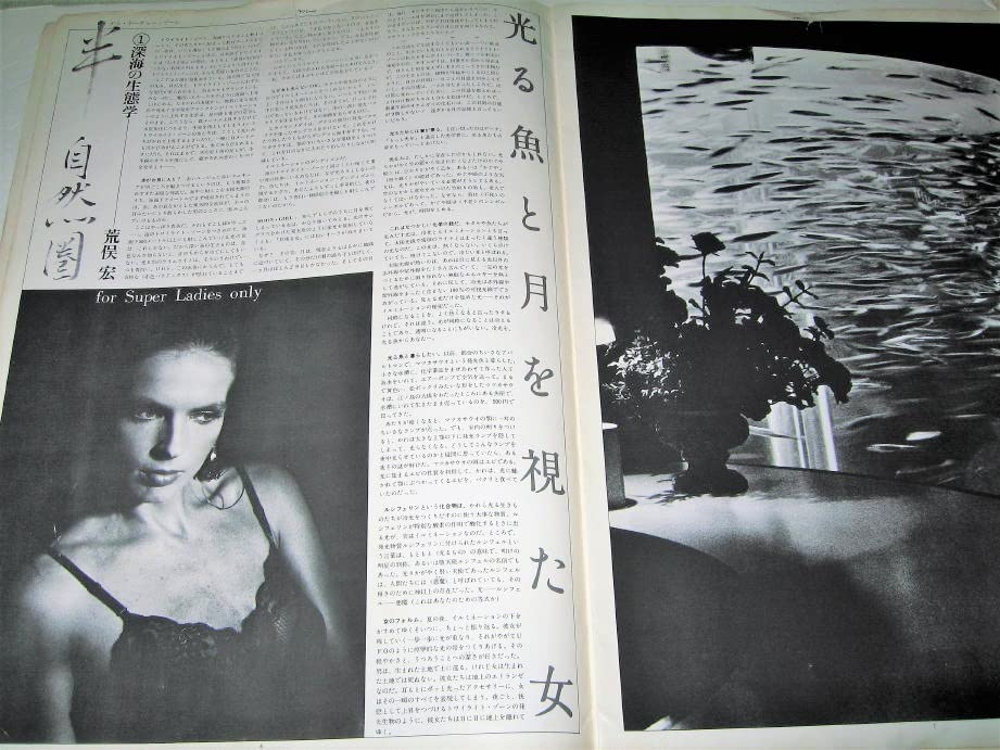 Amazon.co.jp: 雑誌SOFT MACHINE ソフトマシーン1979/創刊号表紙