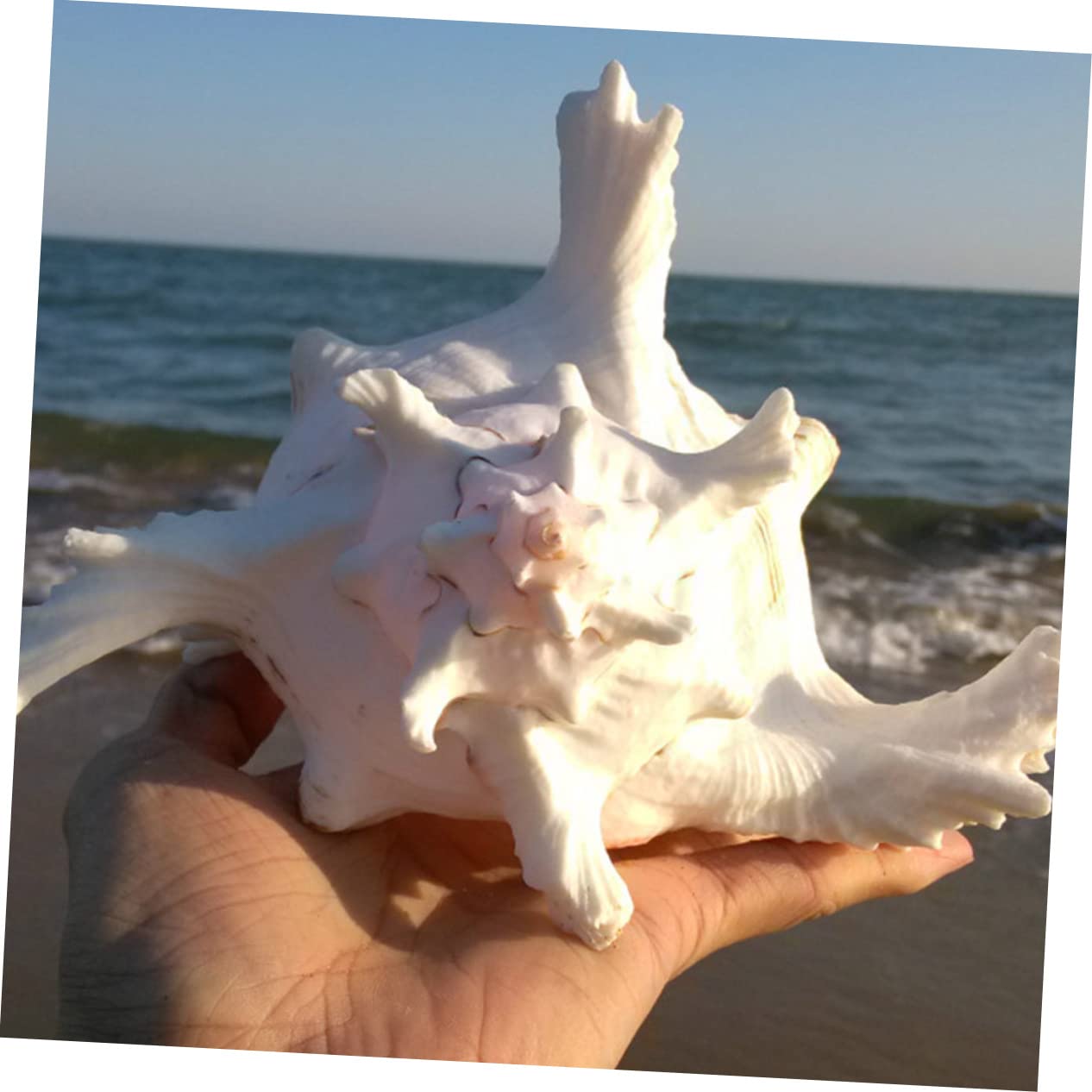 Decorazione per Bianco Decorazione Lifelike per Sicura e Facile