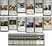 Elite Cat Deck - Mono White - Modern Legal - Custom Built - Magic The Gathering - MTG - 60 Card!