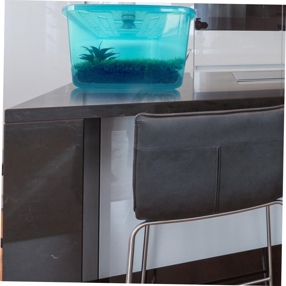 Terrario per Tartarughe Piattaforma Solare e Vasca in Plastica Sicura, Stabile e Ampia Superficie per Nuotare, Alimentare e Riposare Piccoli Rettili e Tartarughe Domestiche