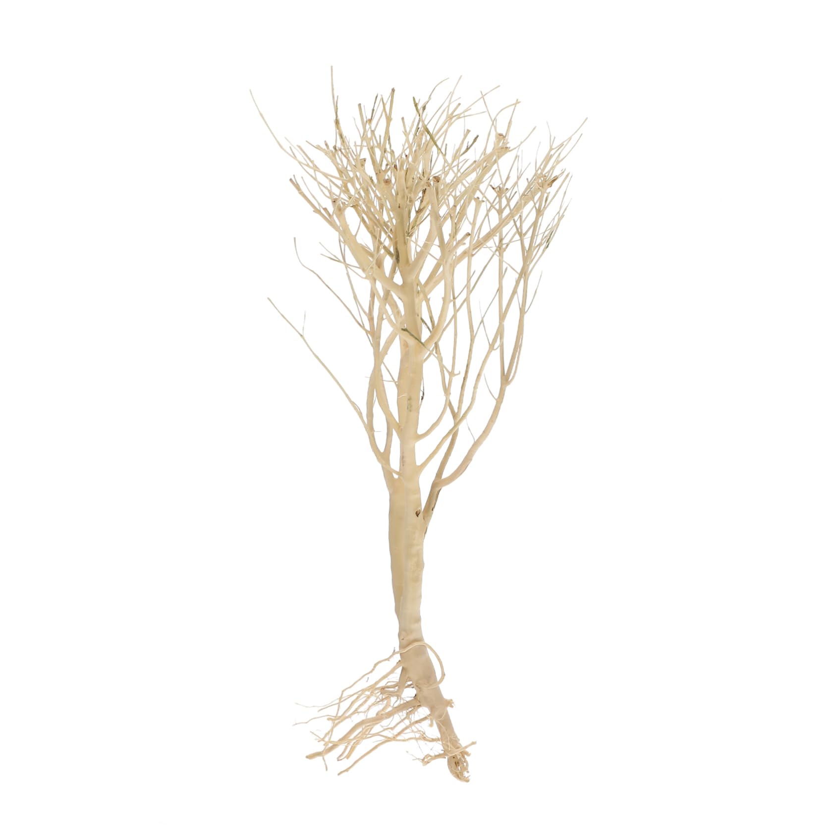 Happyyami 2piezas Decoración Acuario Madera Muerta para Paisaje Acuático Accesorios Naturales De Acuario para Peces De Agua Dulce y Salada Elemento De Diseño Natural