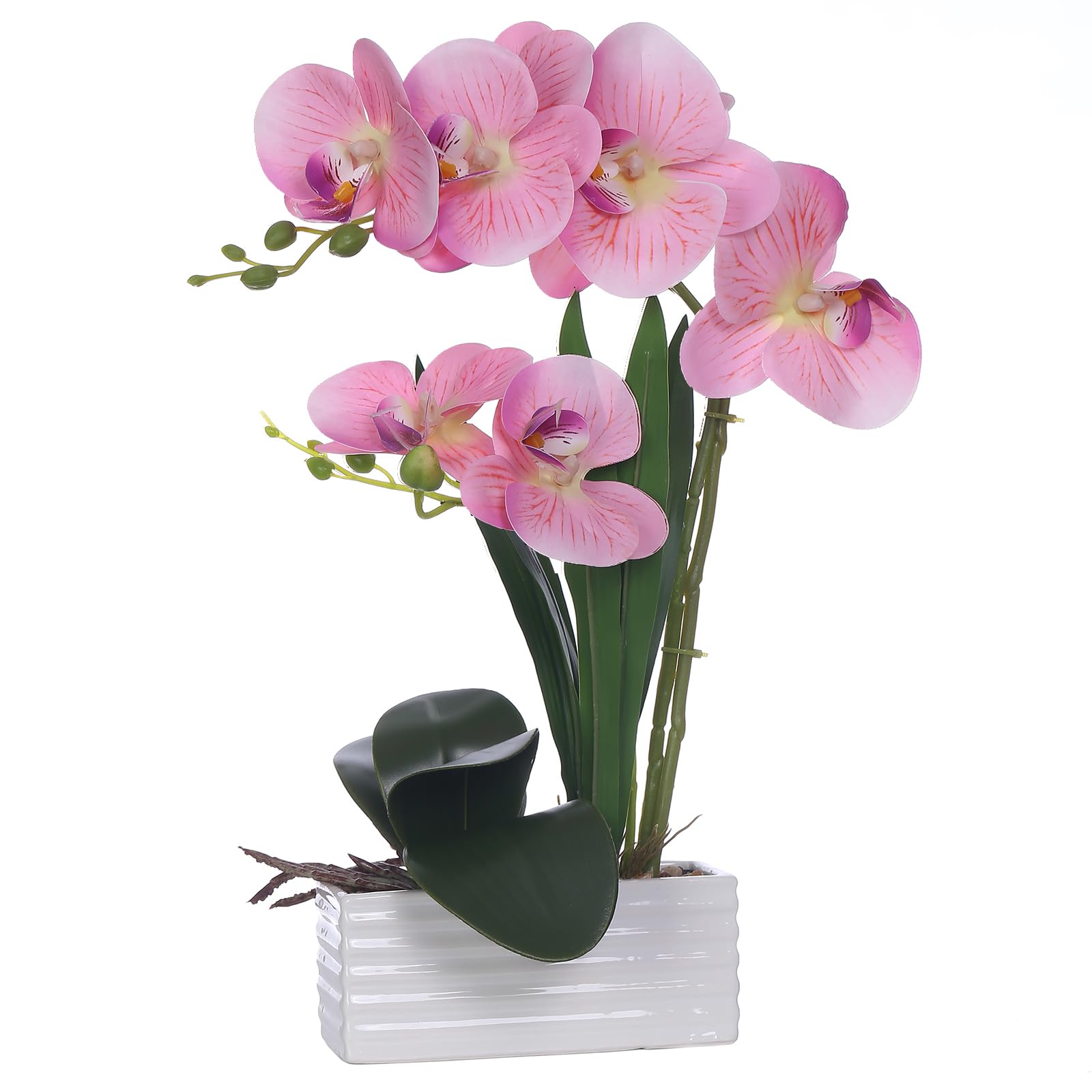 Artificial Real Touch Orchid Flowers in Pot Fake Phalaenopsis