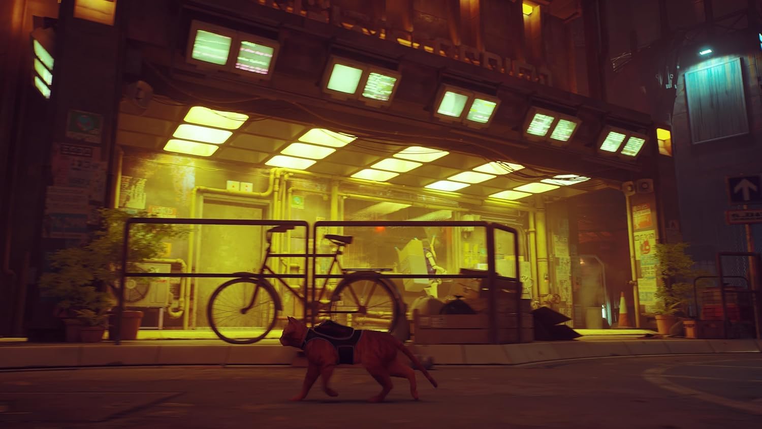Stray (Nintendo Switch)