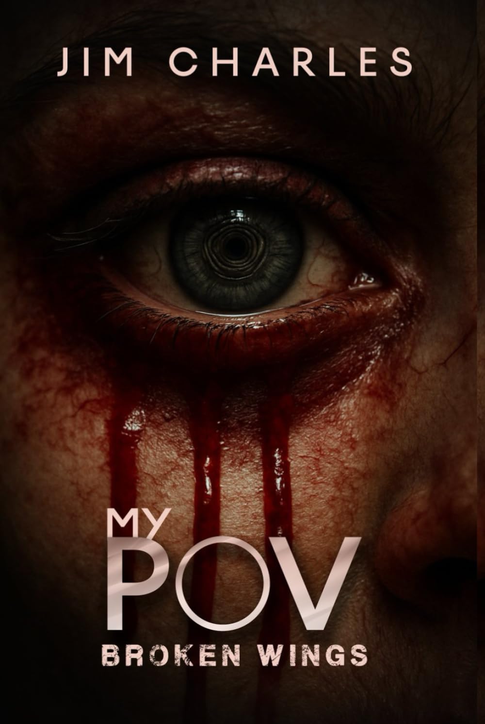 My POV: Broken Wings