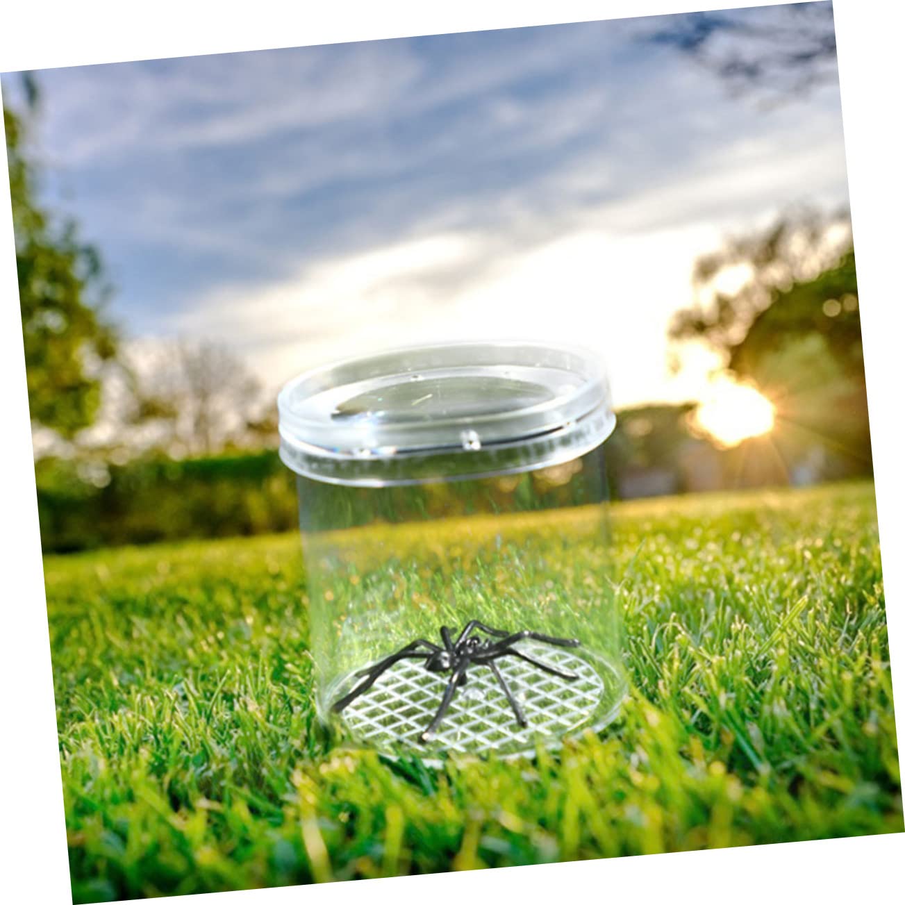 20pcs Viewers Breeding Boxes Critter Observation Boxes Feeding Cage Magnifying Container for Boys and Girls