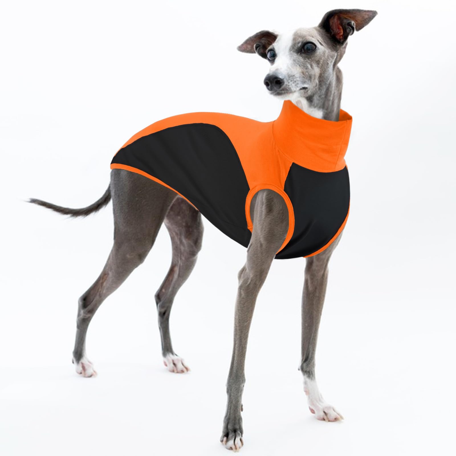Whippet Dog Shirt, Lightweight Jumper Whippet Sweatshirt Sighthounds Autumn Spring Skinny Dog Pullover Soft Pajamas Keep Dog Cozy at Night(Orange, S)