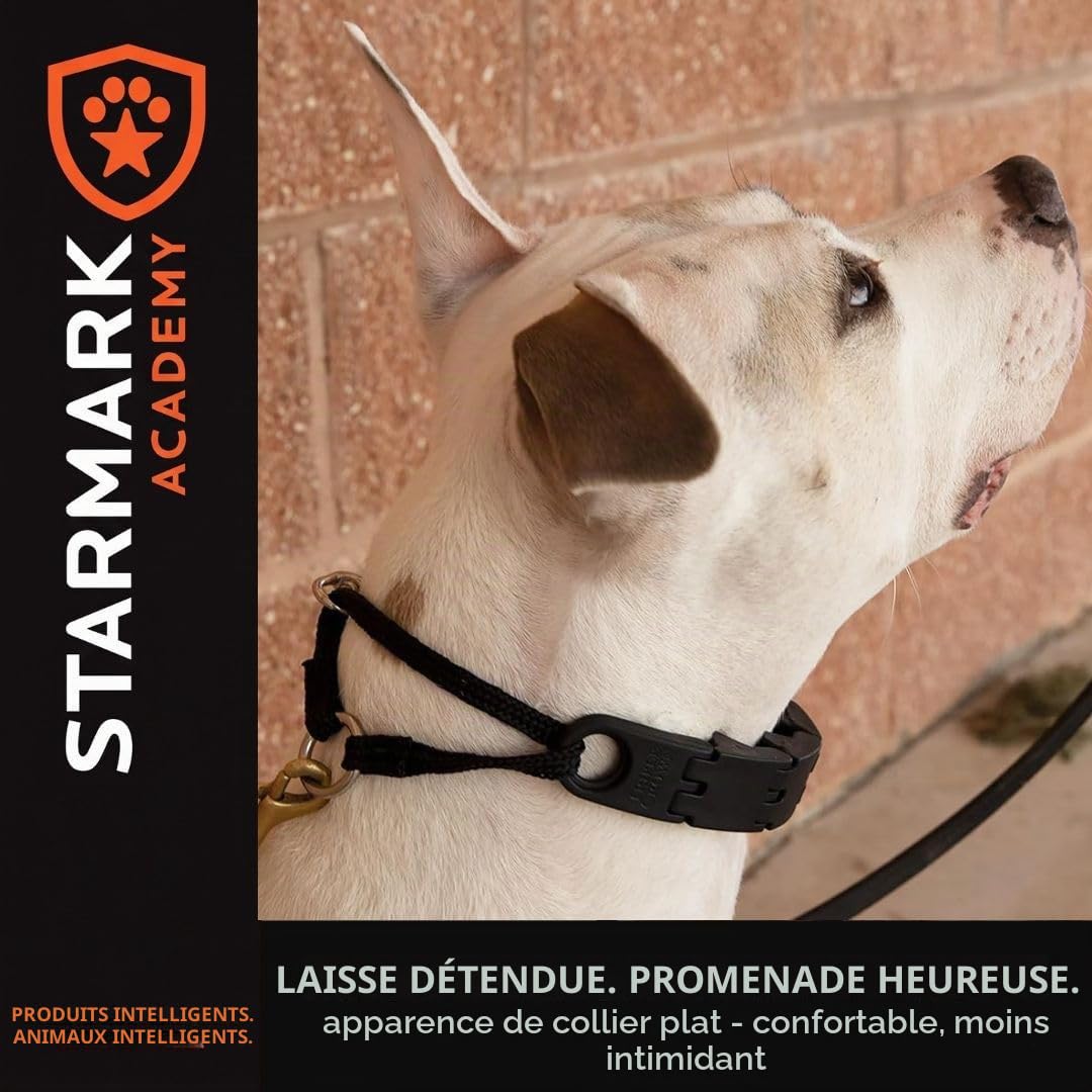 EVERLASTING Pro-Training Collier pour Chien 38,1 cm Taille S