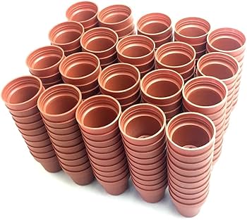 Amazon.co.jp: ミニミニ プラ鉢 1．2号 200個セット 多肉植物など