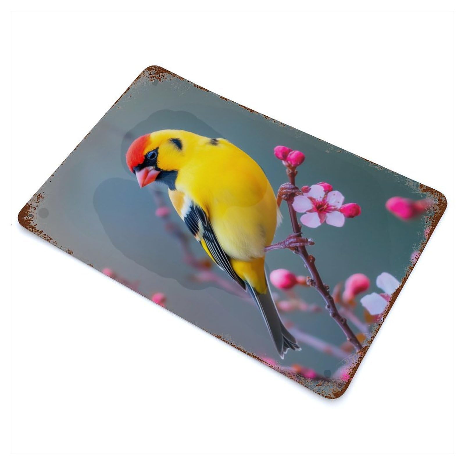 Yellow Goldfinch Bird on Branch Rusty Metal Tin Sign 11.8"x7.9", for Farmhouse, Kitchen And Entryway Decor, Rustic Home Decor