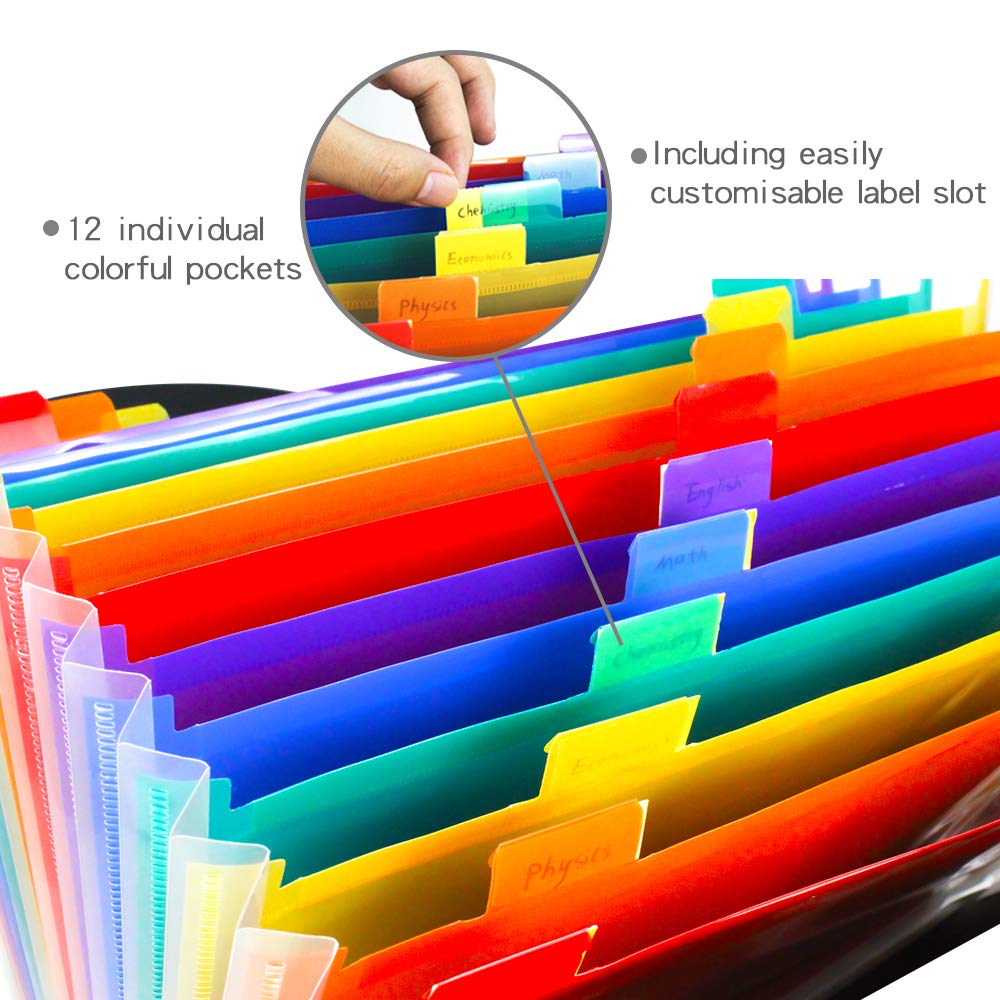 Raccoglitore Documenti Con 12 Tasche - Portadocumenti A4 Espandibile, Colorato | Per Ufficio, Scuola, Organizzazione