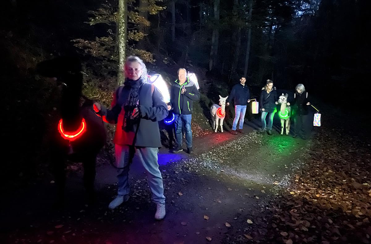 JOCHEN SCHWEIZER Geschenkgutschein: Laternenwanderung mit Alpakas Neckargerach
