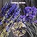 RTRTGS Natürliche Getrocknete Blumen, getrocknete hortensien, Trockenblumen Set, trockenblumen deko, für DIY Gepresste Blumen, Scrapbooking, DIY-Kerze, Schmuckanhänger Basteln