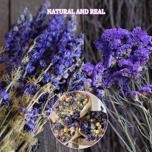 RTRTGS Natürliche Getrocknete Blumen, getrocknete hortensien, Trockenblumen Set, trockenblumen deko, für DIY Gepresste Blumen, Scrapbooking, DIY-Kerze, Schmuckanhänger Basteln