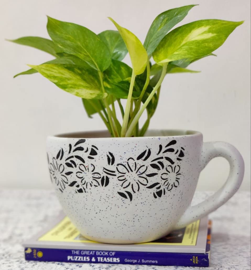Homefrills Ceramic Stylish Cup Shape Flower Design White Colour planters Pot for Indoor & Outdoor Home, Garden, Office Decor,Balcony Planters Pot Gamla Pot Size: 20 cm Wide & 11 cm high
