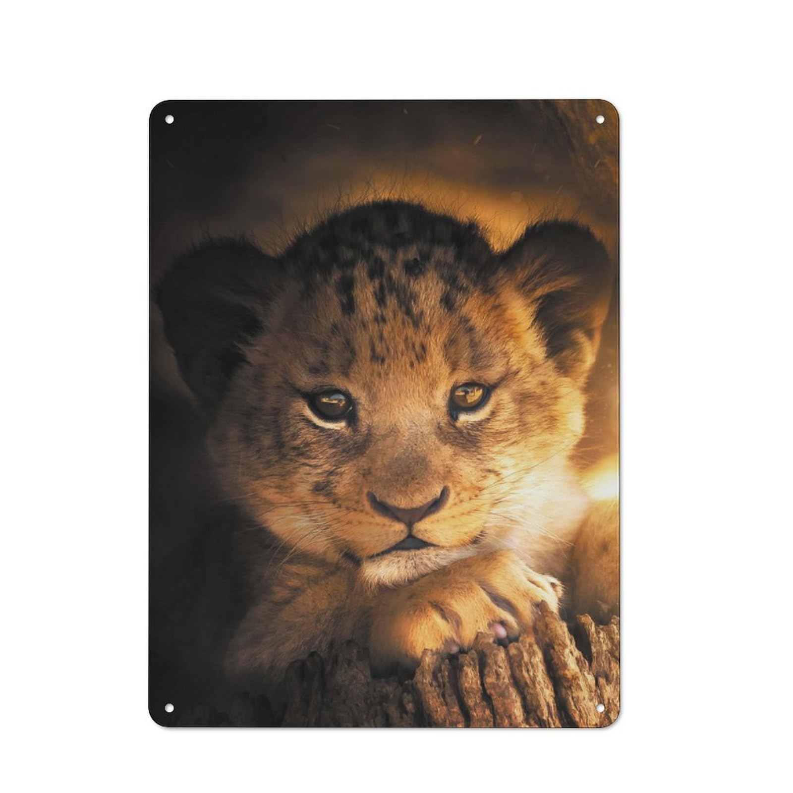 Junmoney The Lion Cub Tin Wall Plaque 40X30cm With For Hobby Room Or Studio, New Home Wall Decor For Creative Interior Collectors