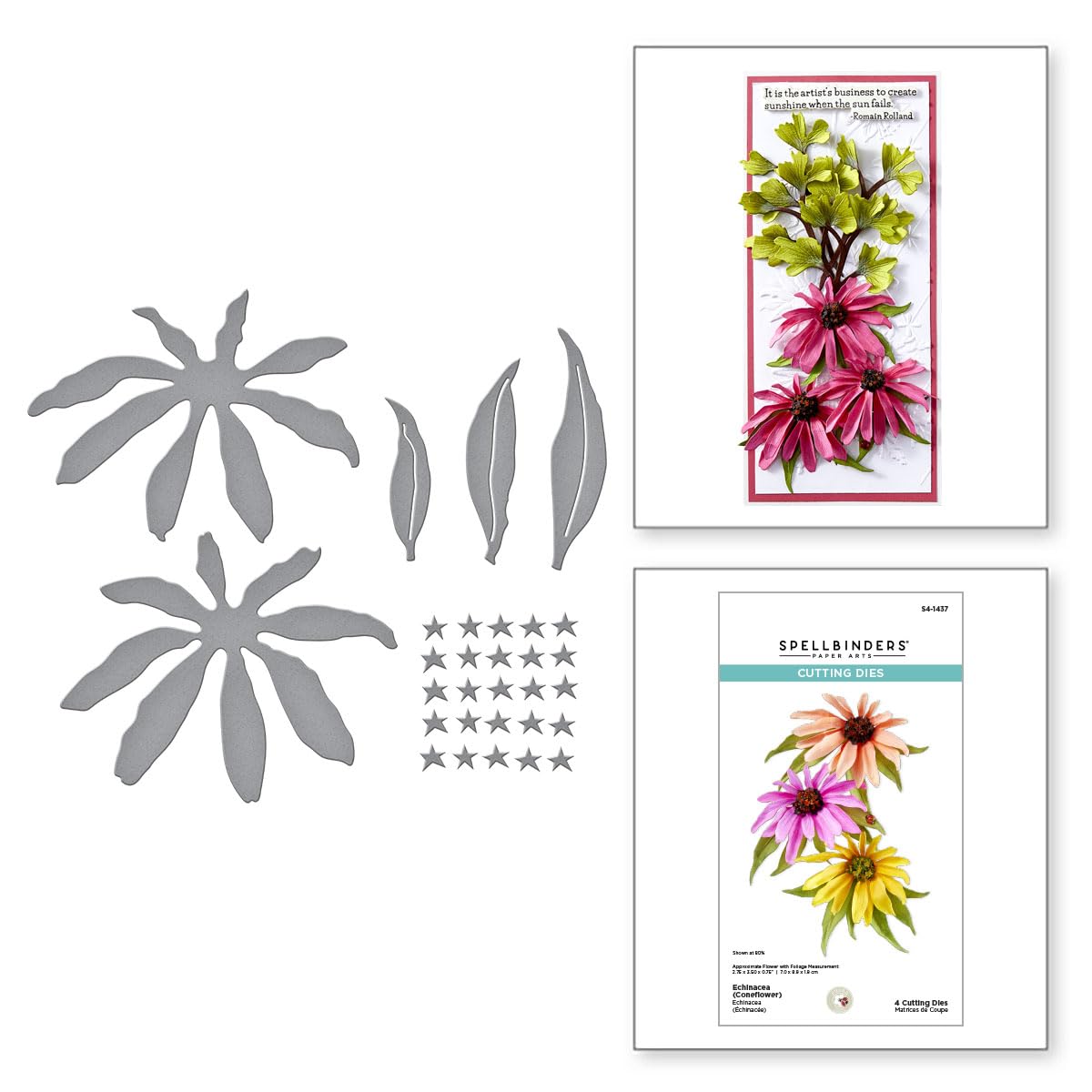 Spellbinders Echinacea (Coneflower) Etched Dies from the Summer Solstice Garden Collection by Susan Tierney-Cockburn