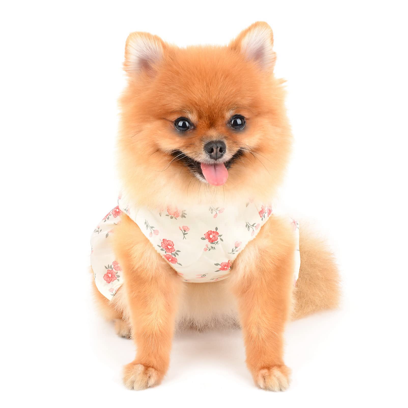 Vestito Per Cane Taglia Piccola - Maglione Con Gonna A Strati E Pois, Rosa