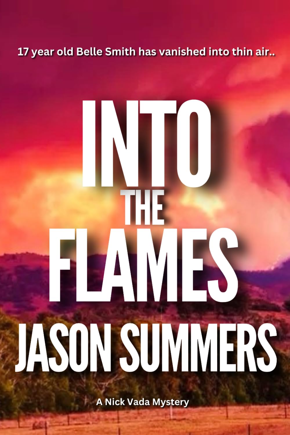 Into The Flames: Australian Crime Mystery - Nick Vada Book 2 (A Nick Vada Thriller)