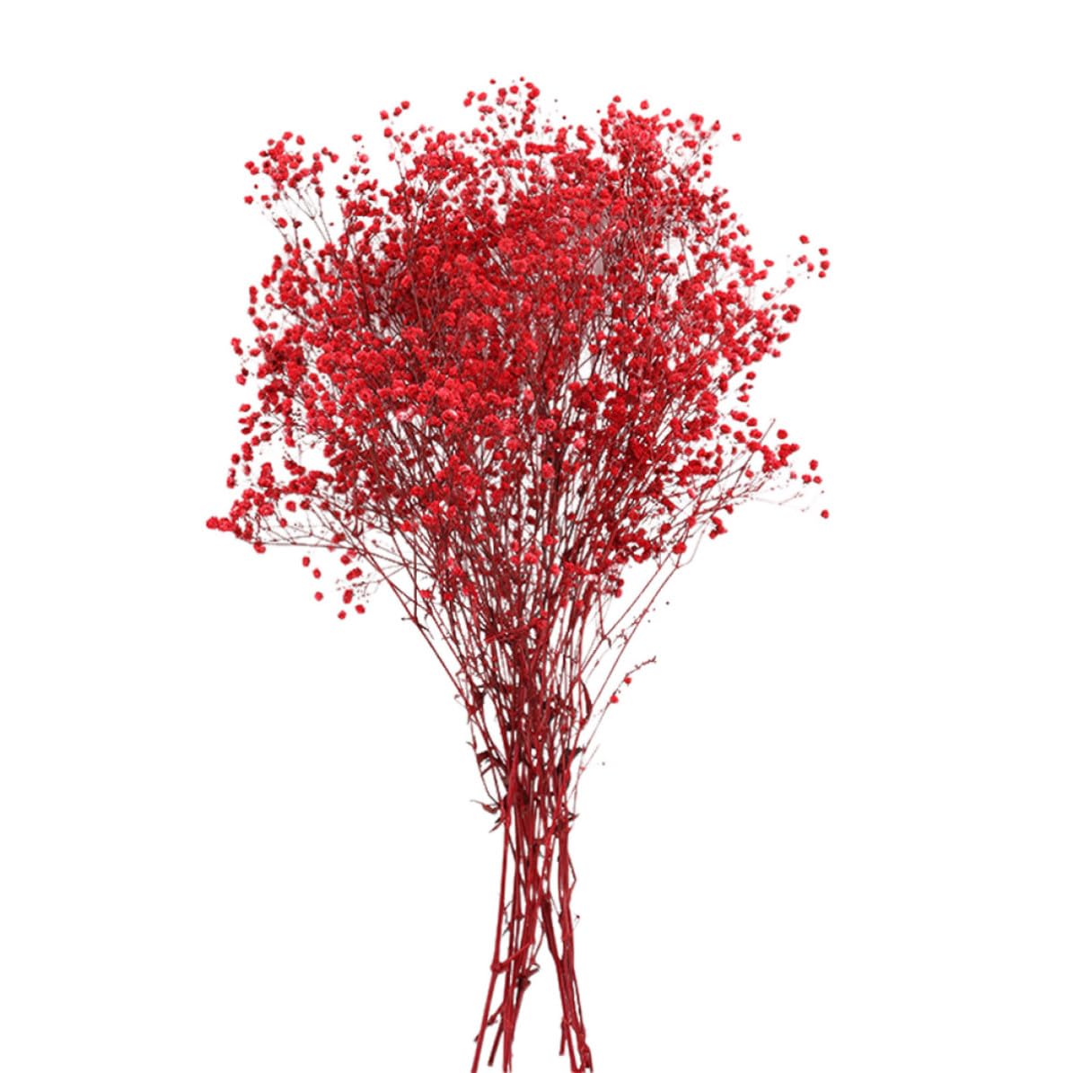 Flores secas de gypsophila roja decorativas con fragancia duradera