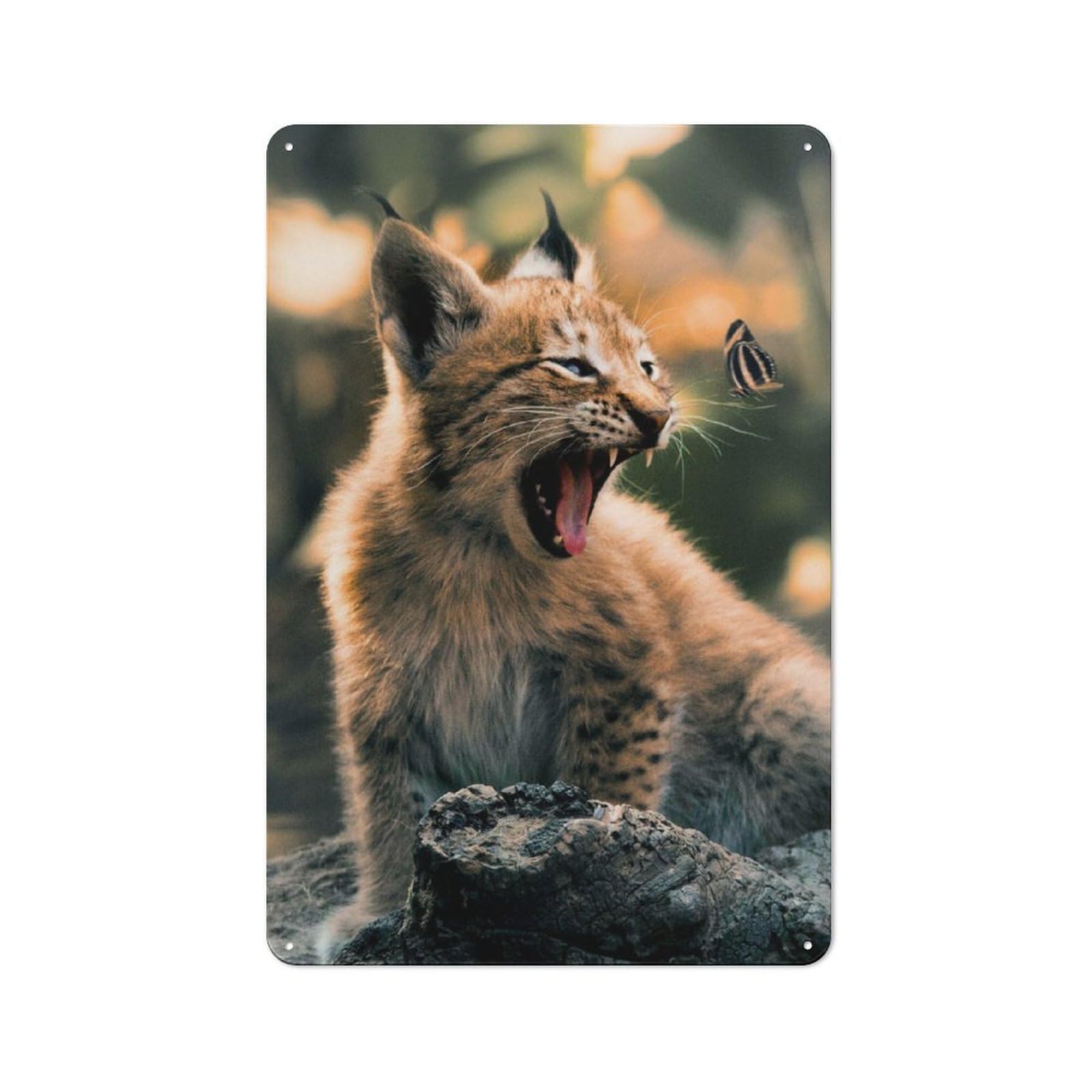 Junmoney The Lynx Cub And Butterfly Retro Metal Wall Sign 30X20cm With For Living Room Wall, Housewarming Wall Decor For People Furnishing Living Room