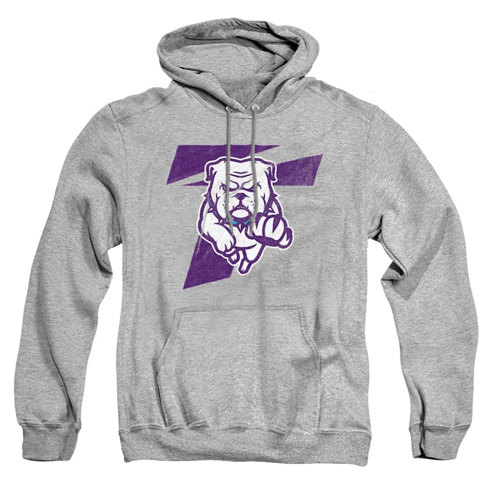 LOGOVISION Official Collegiate Distressed Primary Logo Adult Pullover Hoodie Collection — view 400
