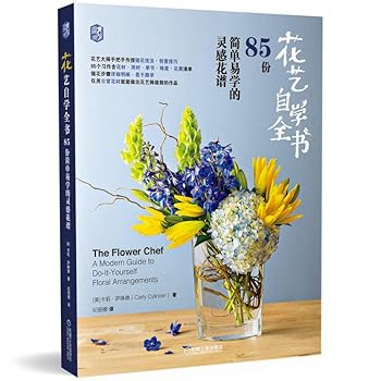 C programming language (original book 2nd edition new edition collector's edition)(Chinese Edition)