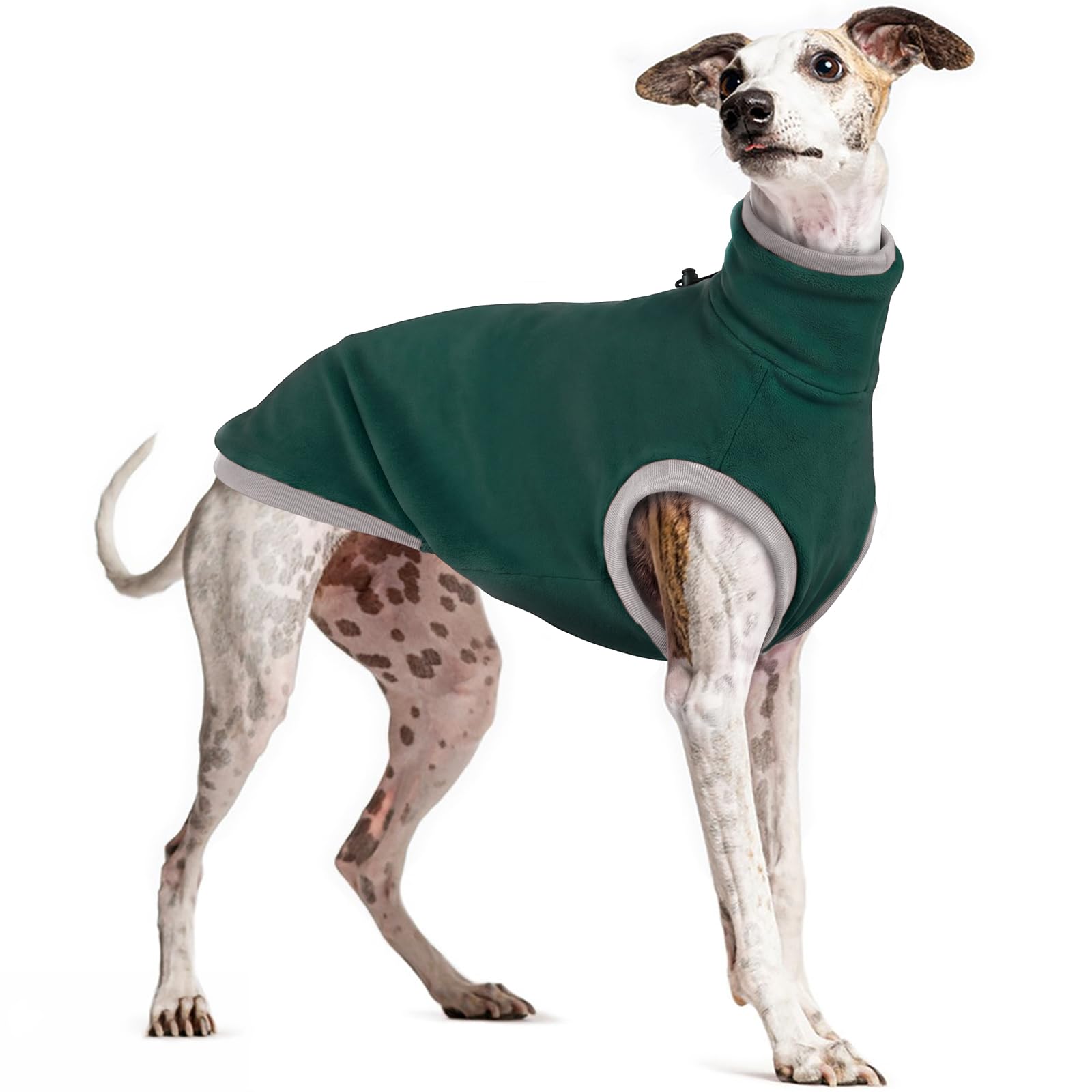 Whippet Sweater Fleece, Italian Greyhound Fleece Coat(Green, S)