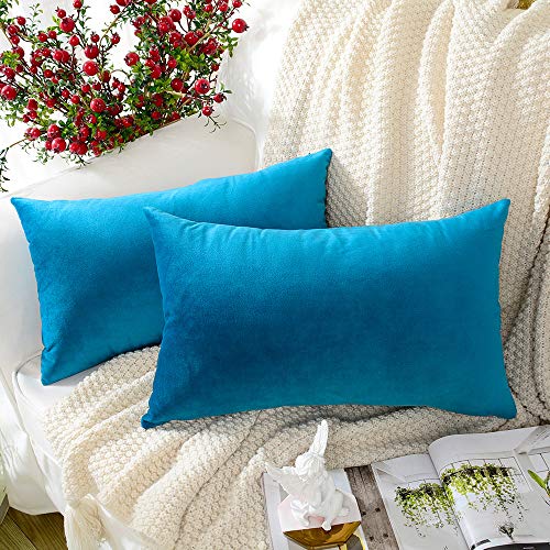 MERNETTE Pack of 2, Velvet Soft Decorative Rectangle Throw Pillow Cover Cushion Covers Pillow case, Home Decor Decorations for Sofa Couch Bed Chair 12x20 Inch/30x50 cm (River Blue)