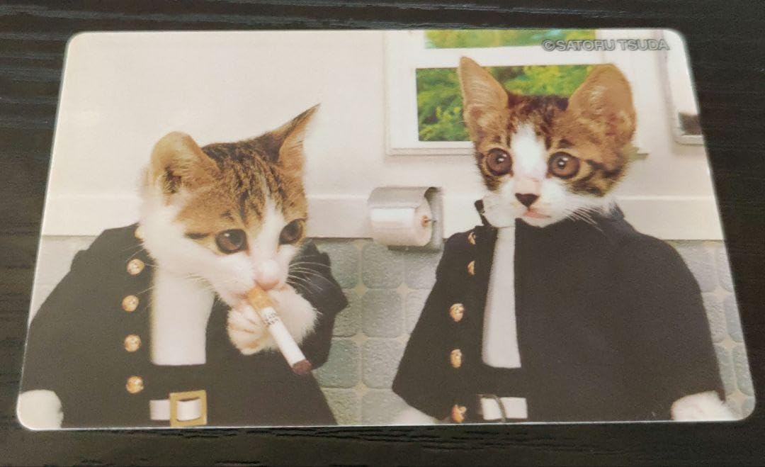 Amazon.co.jp: なめ猫 なめんなよ カード ニャン太郎 : おもちゃ