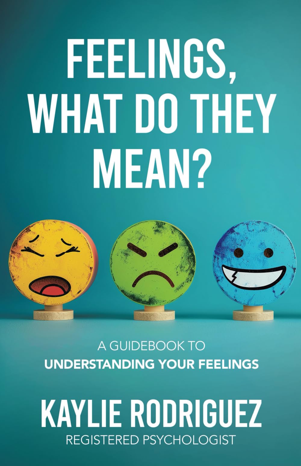 Feelings, What Do They Mean?: A Guidebook to Understanding Your Feelings