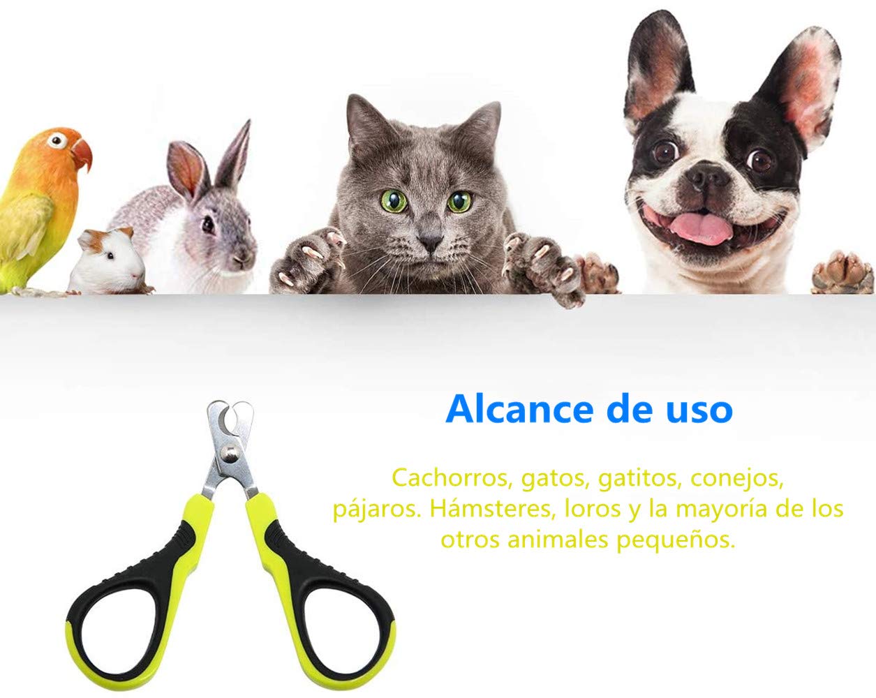 Voarge Coupe-ongles professionnel en acier inoxydable pour chiens, petits animaux et lapins, ciseaux en acier inoxydable Design incurvé de 25 degrés