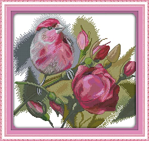 Peinture au diamant 5D kit complet oiseau et rose idée cadeau loisir créatif