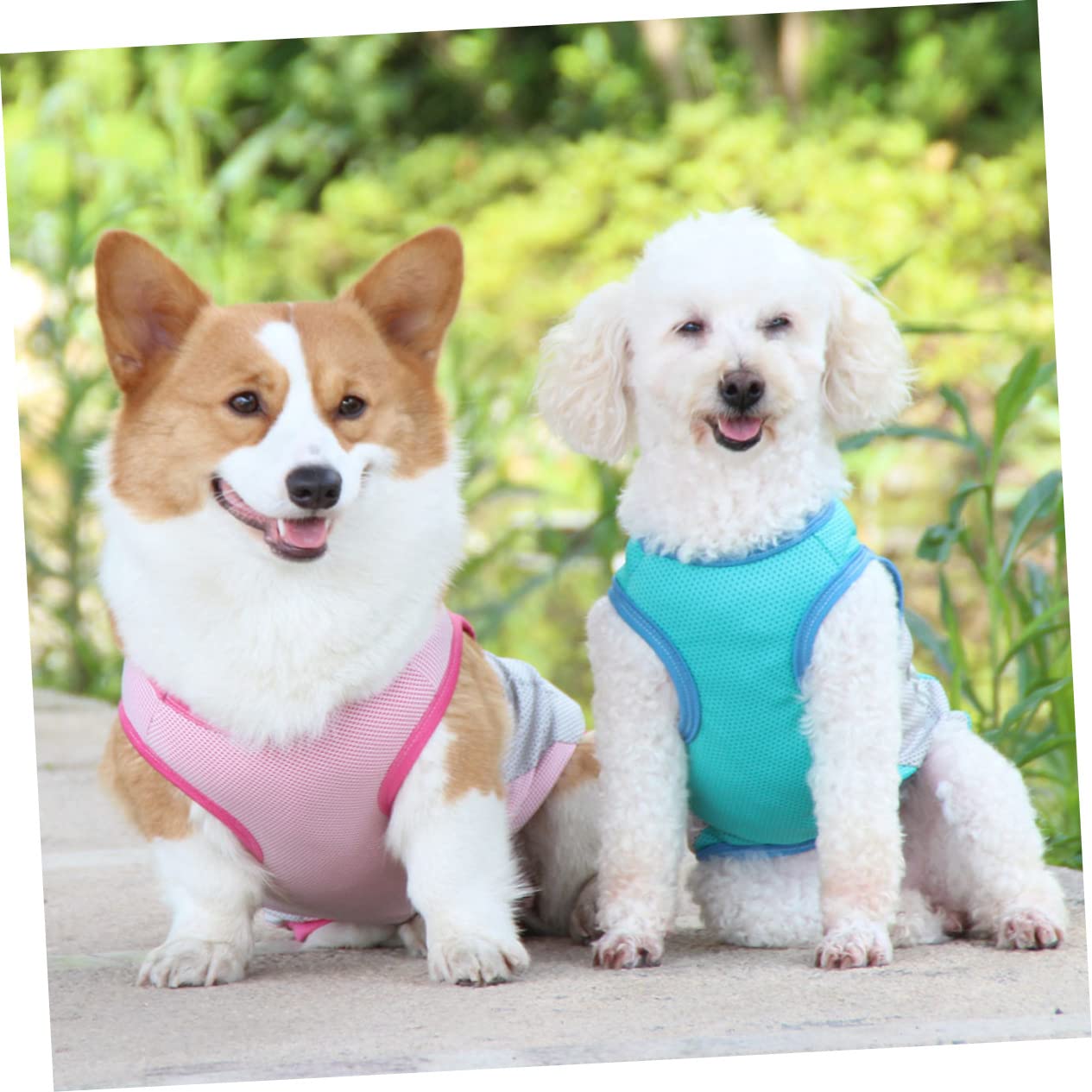 INOOMP 3stücke Kühlweste Für Hunde Atmungsaktive Sommerkleidung Uv-Schutz Hautfreundliches Material Für Partys Und Ausflüge Frischem
