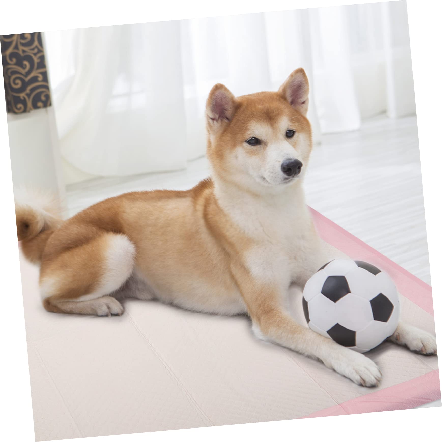 Tappetini Igienici Assorbenti per Cani e Cuccioli Rosa, 1 Sacchetto | Addestramento e Area Riposo, Polimero Importato Polpa di Legno, Film Pe e Carta Igienica