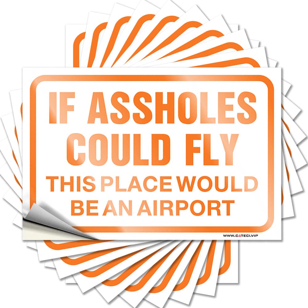 If Assholes Could Fly This Place Would Be an Airport Wall Encouraging - Work Desk Decor Sticker Self Adhesive Sticker(8X12CM)