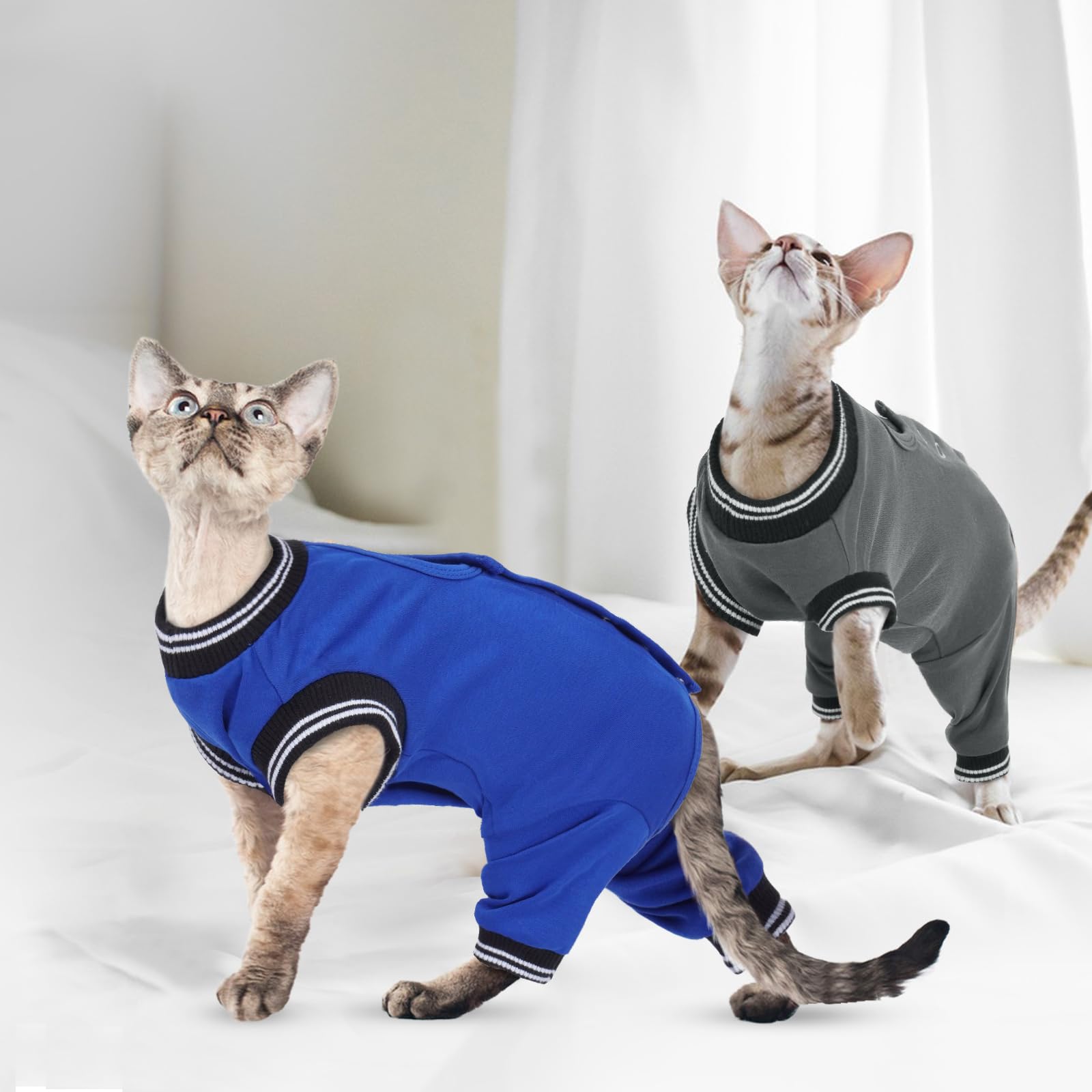 PUMYPOREITY Tuta Post-Operatoria Gatto Femmina, Body Chirurgico Gatto Grigio M
