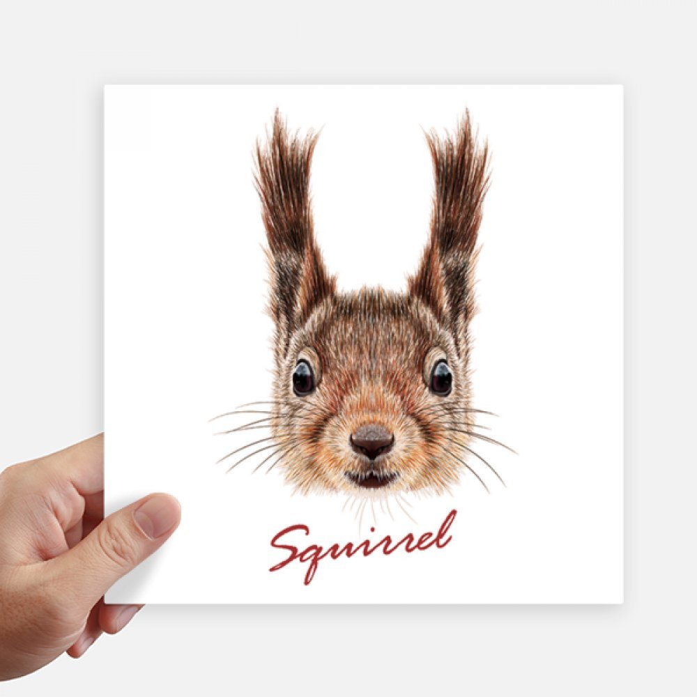 Sticker Animal Écureuil Résistant de 20cm pour Décoration Murale et Moto