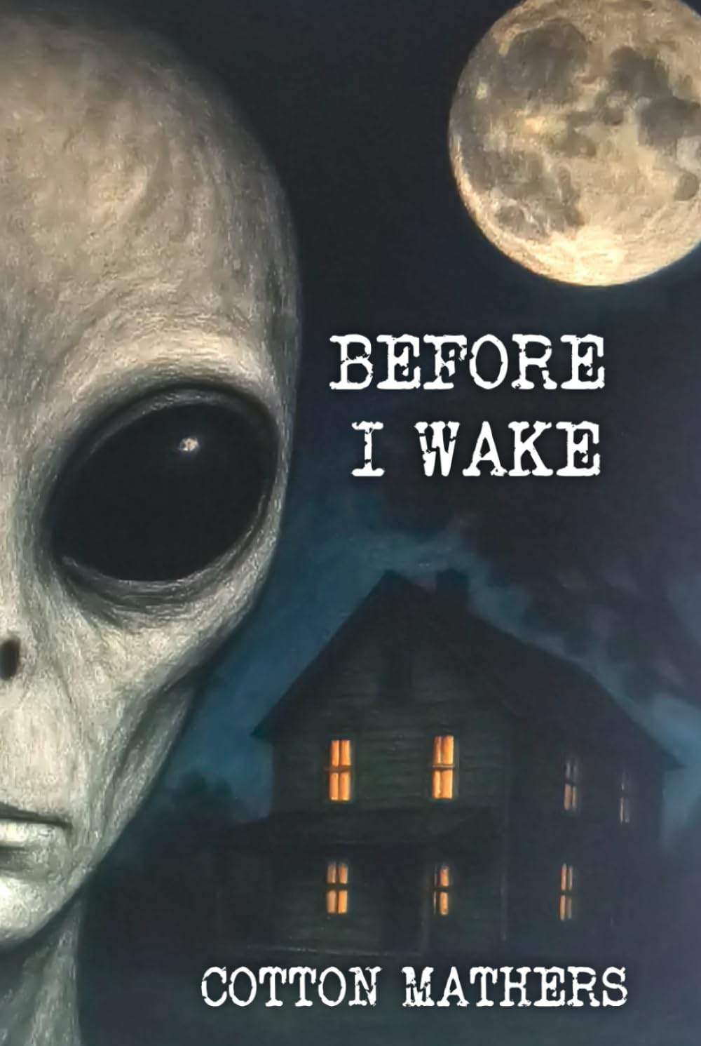 Before I Wake