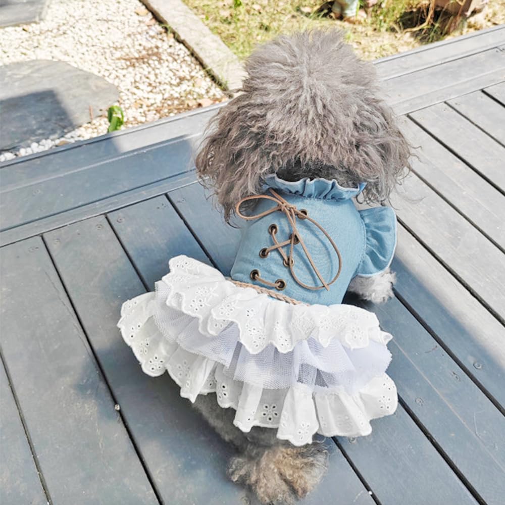 MQQYLBHDS Girl Dog Denim Dress with Flared Sleeves Dog Jeans Jacket Blue White Puppy Clothes for Small Dogs Cat Apparel Cake Skirt Pet Outfit (Blue, X-Small)